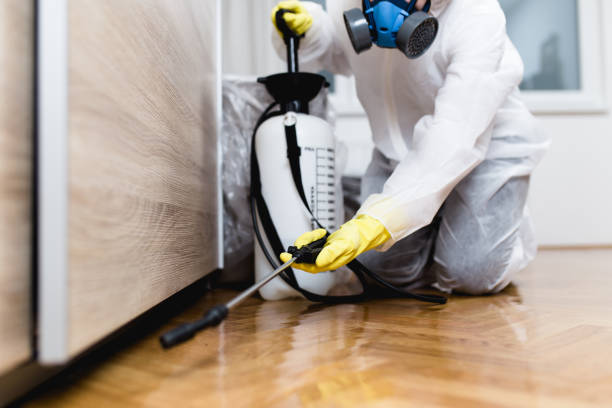 Best Cockroach Control Services  in Spring Hill, KS