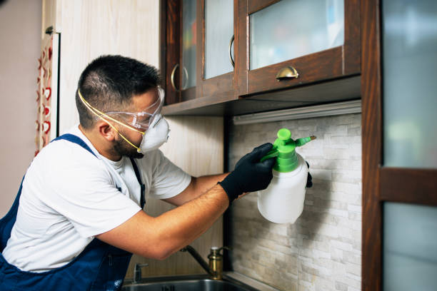 Best Insect Control  in Spring Hill, KS