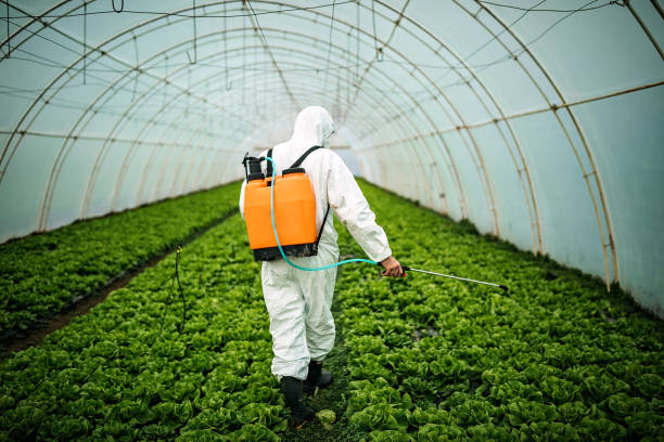 Reliable Spring Hill, KS Pest Control Solutions