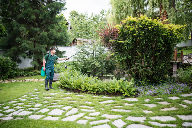 Best Pest Removal Services  in Spring Hill, KS