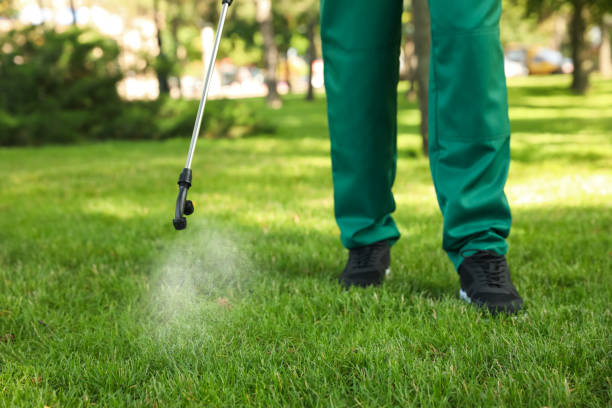 Best Pest Control Near Me  in Spring Hill, KS