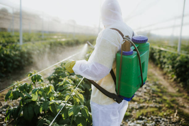 Best Best Pest Control Companies  in Spring Hill, KS